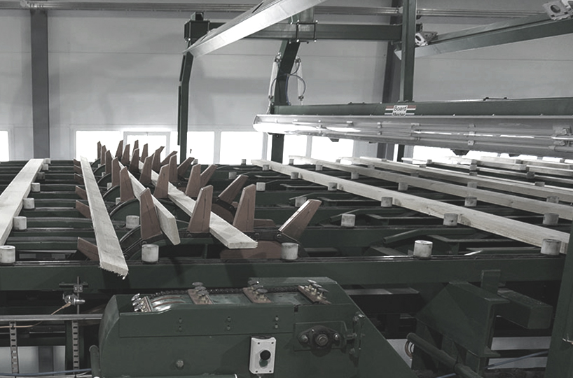 Installation and commissioning of dry log sorting line (Lesresurs)
